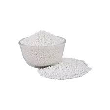 SAGO SEED 1KG