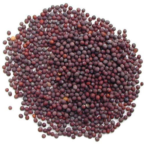 MUSTARD SEED 100G