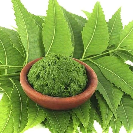 SHUDH NEEM LEAVES POWDER 100G