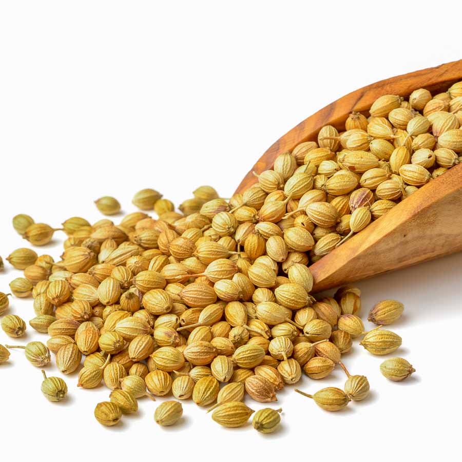 CORIANDER SEED 500G