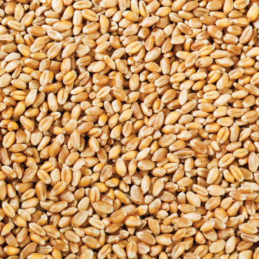 WHEAT PREMIUM 1KG