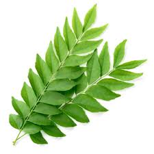 CURRY LEAVES 50G