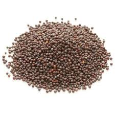 MUSTARD SEED 250G