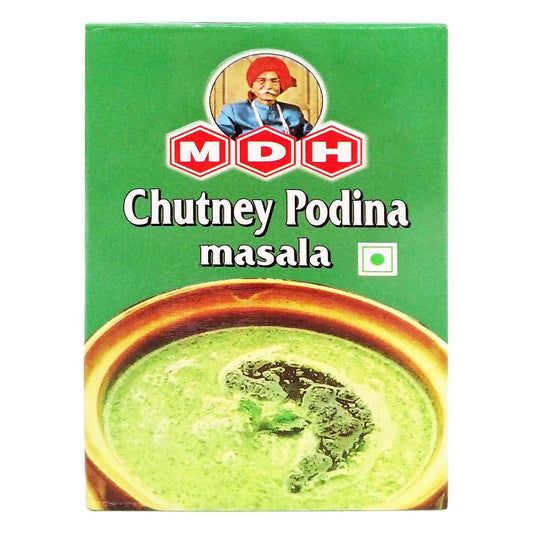 MDH CHUTNEY PODINA MASALA 100G