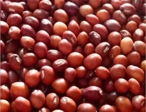 TOOR WHOLE PIGEON PEAS 1KG