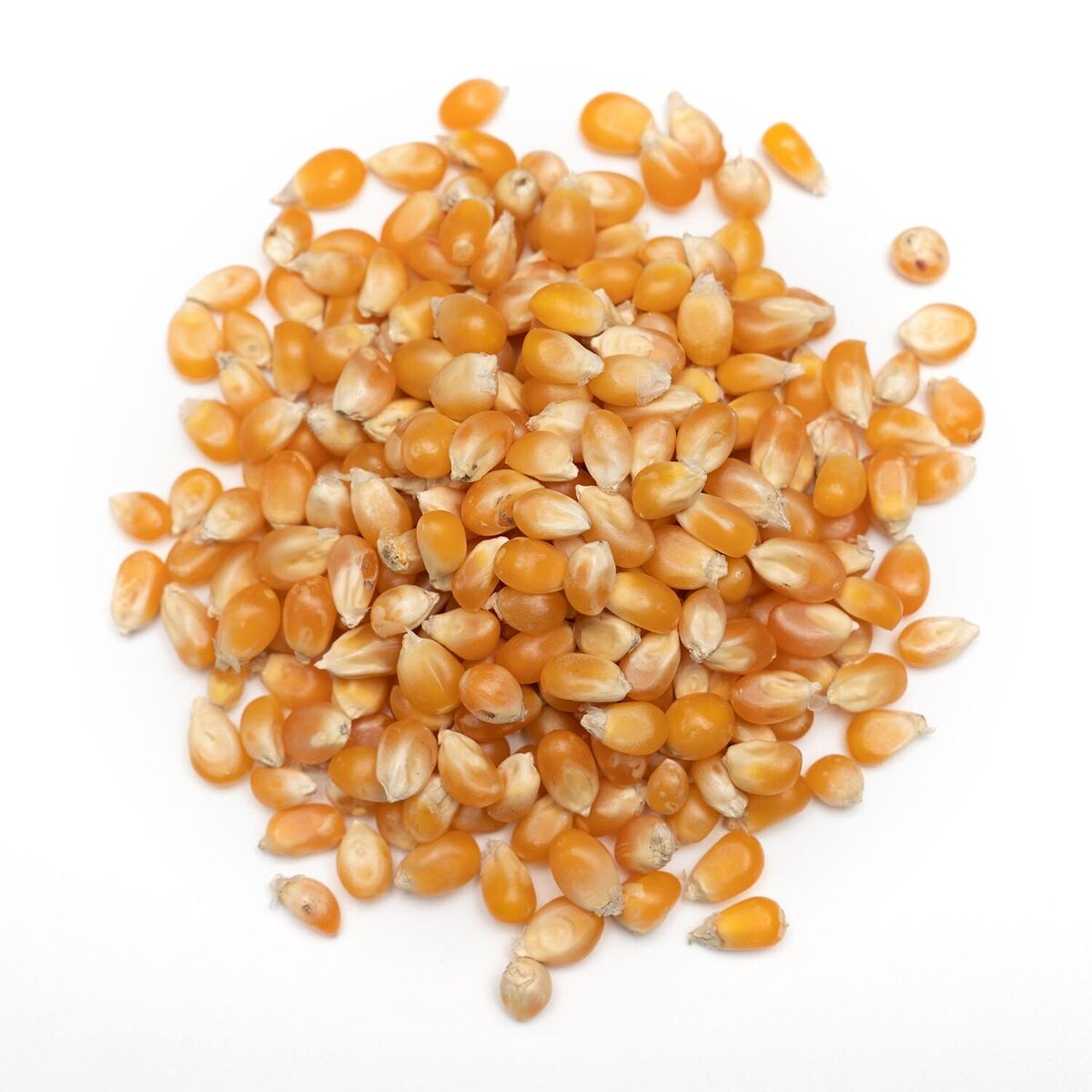 POP CORN 1KG